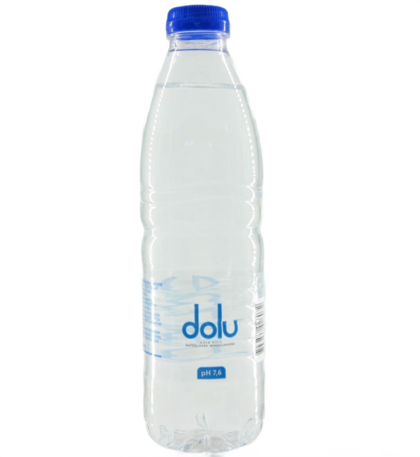 Personalwasser naturell 24x0,5 L
